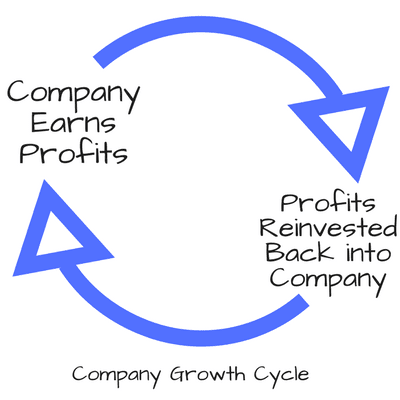 Company Profit Growth Cycle